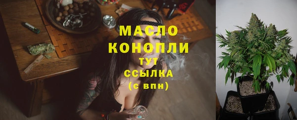 стаф Вязьма