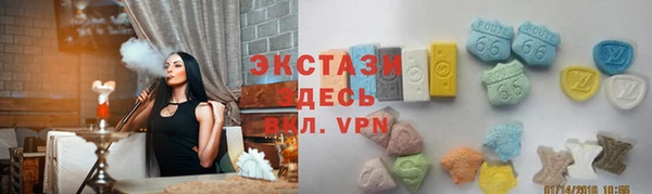 стаф Вязьма