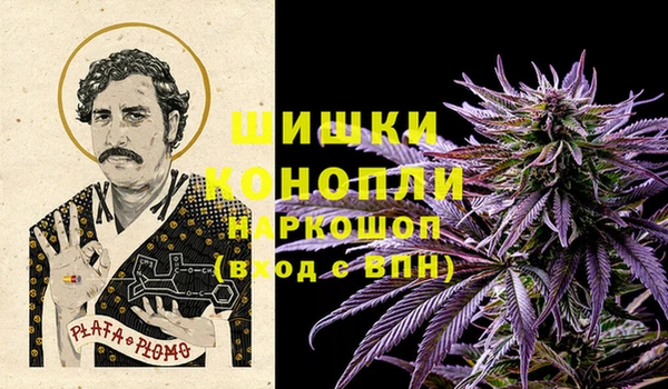 стаф Вязьма