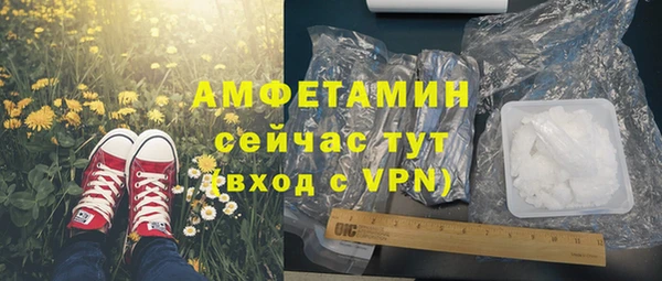 стаф Вязьма