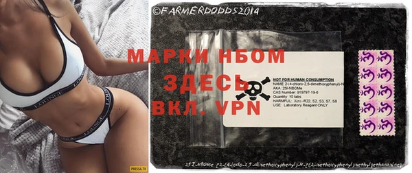 стаф Вязьма