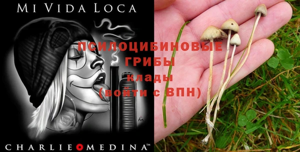 a pvp Вязники