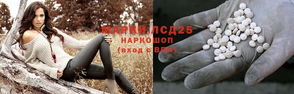 стаф Вязьма
