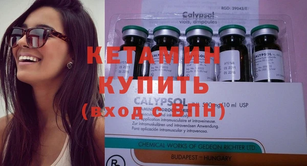 стаф Вязьма
