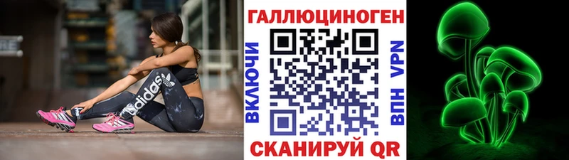 Галлюциногенные грибы Psilocybe Купить Макаров
